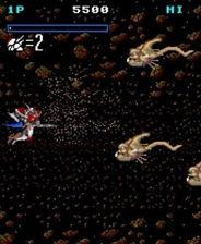 五一吃瓜群众网页版,揭秘热门事件背后的真相与笑料